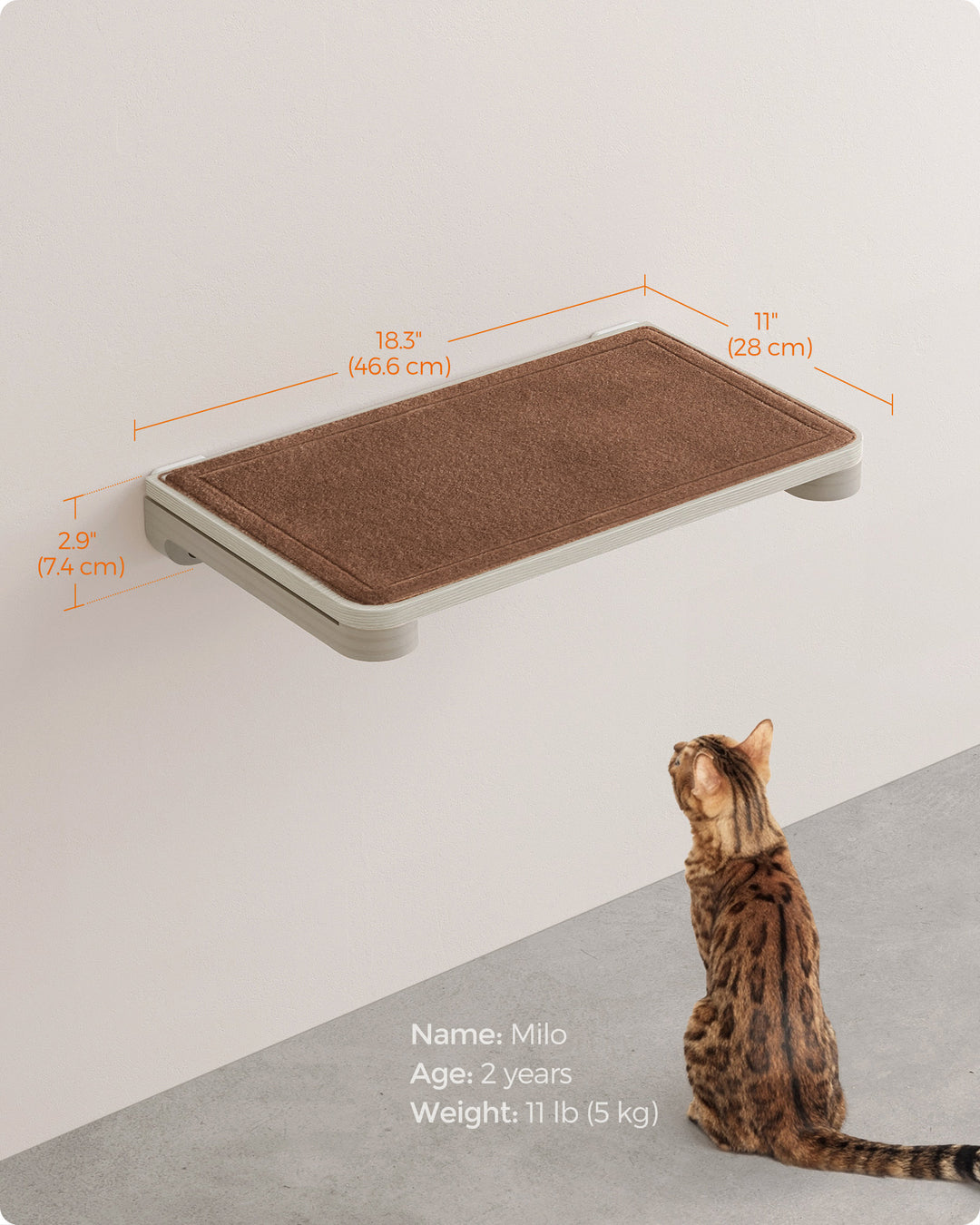 Wall-Mounted Cat Shelf with Felt Pad