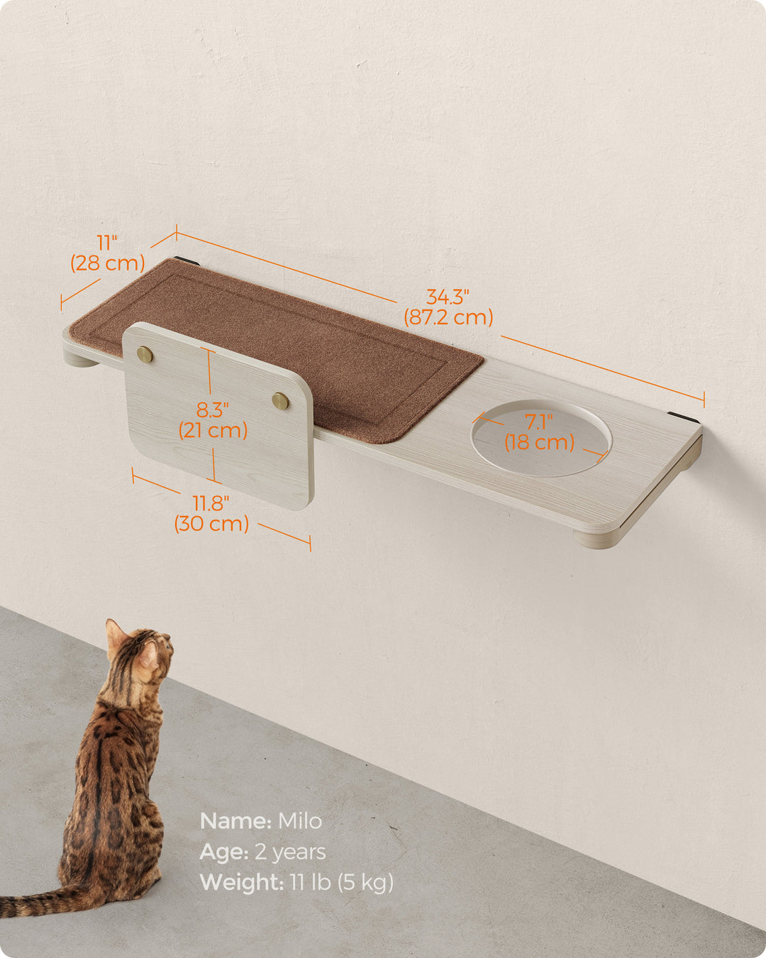 Wall-Mounted Large Cat Shelf with Felt Pad
