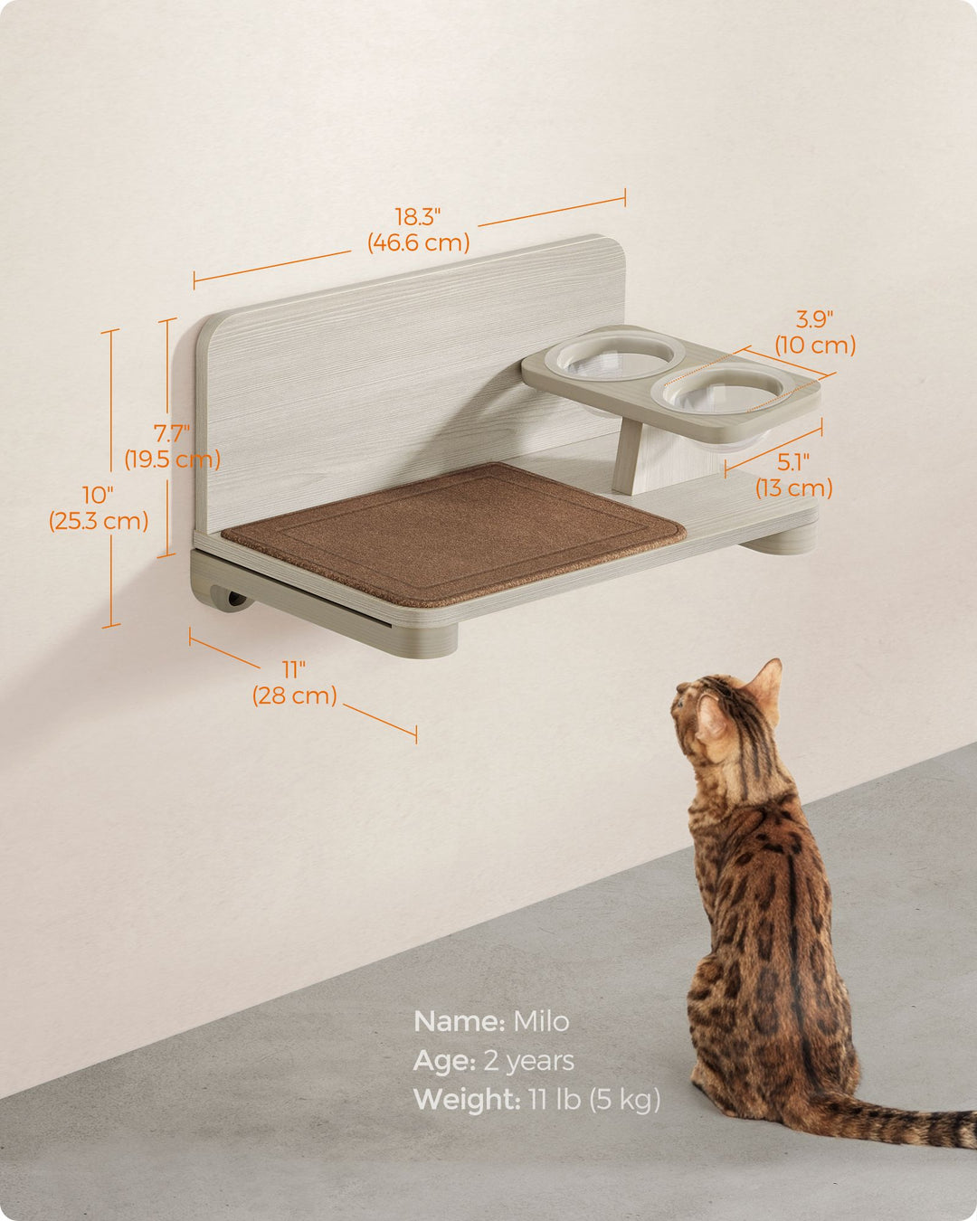 Wall-Mounted Cat Food Station with Elevated Bowls