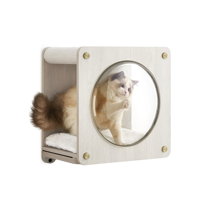 Wall-Mounted Cat Cave with Observation Window