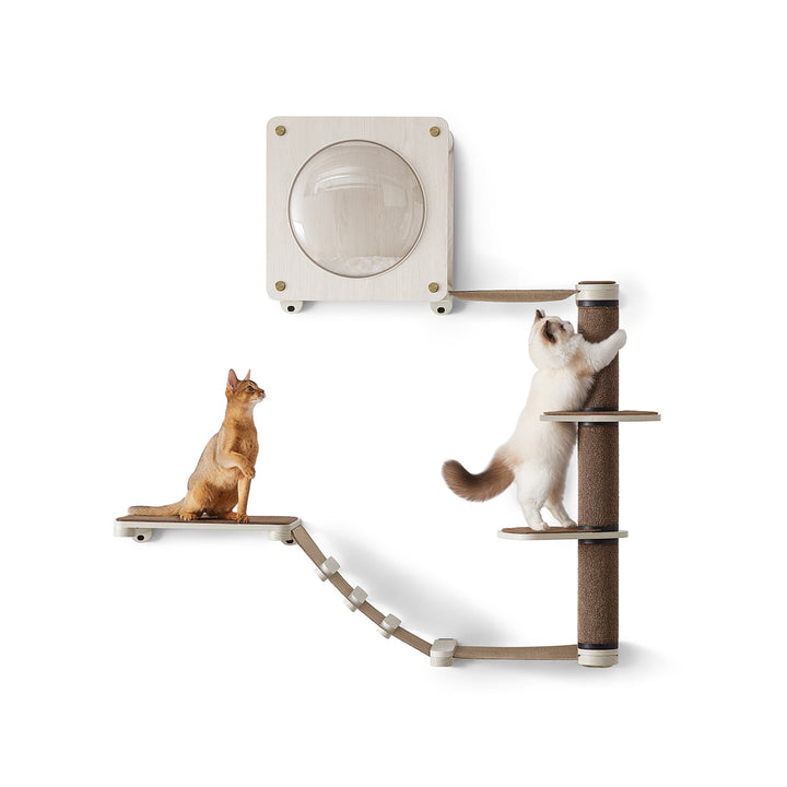 Oasis Set of 5 Cat Wall Furniture