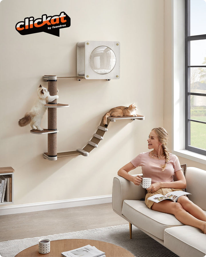 Oasis Set of 5 Cat Wall Furniture