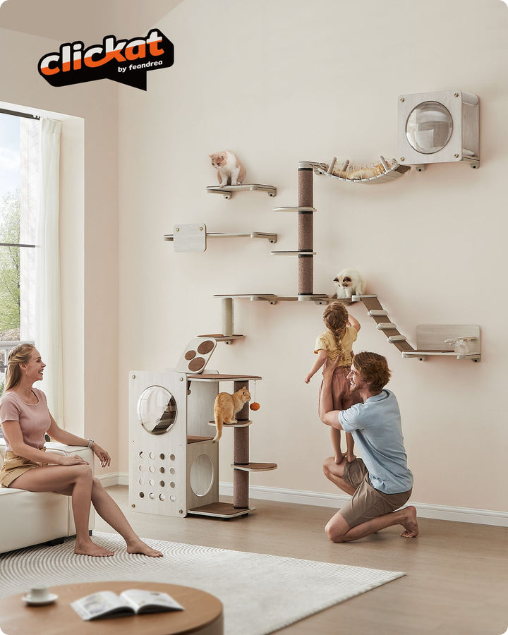 Planet Set of 10 Cat Wall Furniture