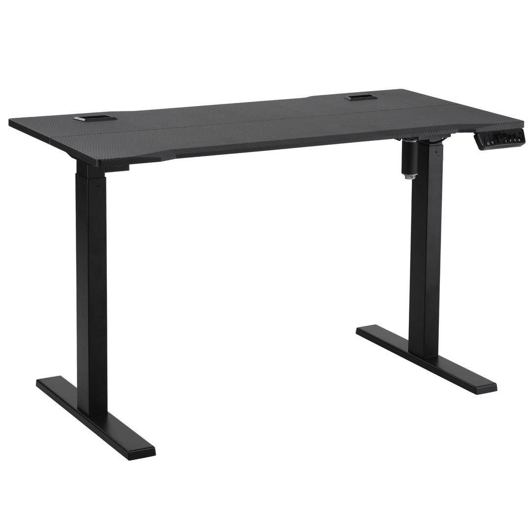 Electric Height Adjustable Standing Desk, 120 cm x 60 cm Memory Preset Stand Up Workstation for Home, Office, Black