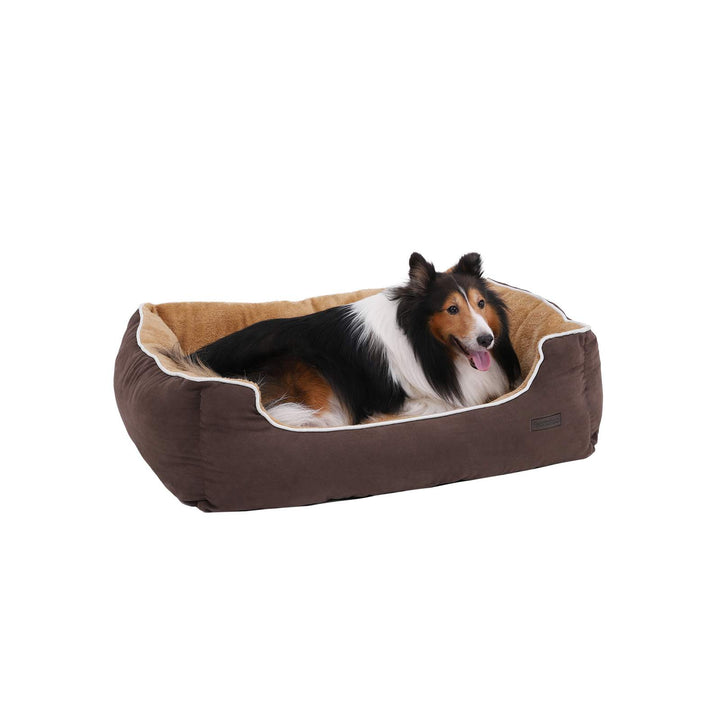Removable Cushion Dog Bed