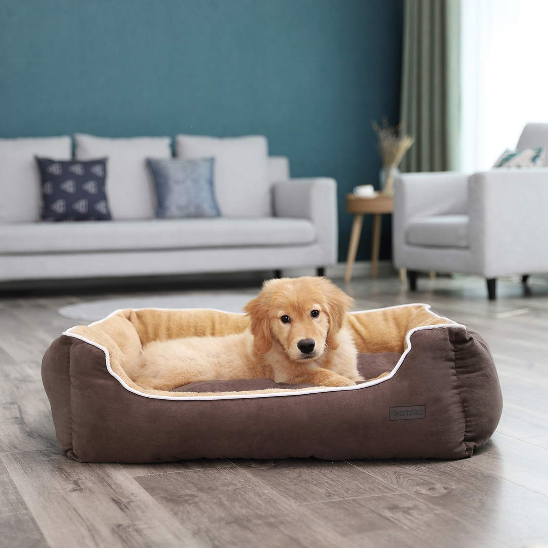 Removable Cushion Dog Bed