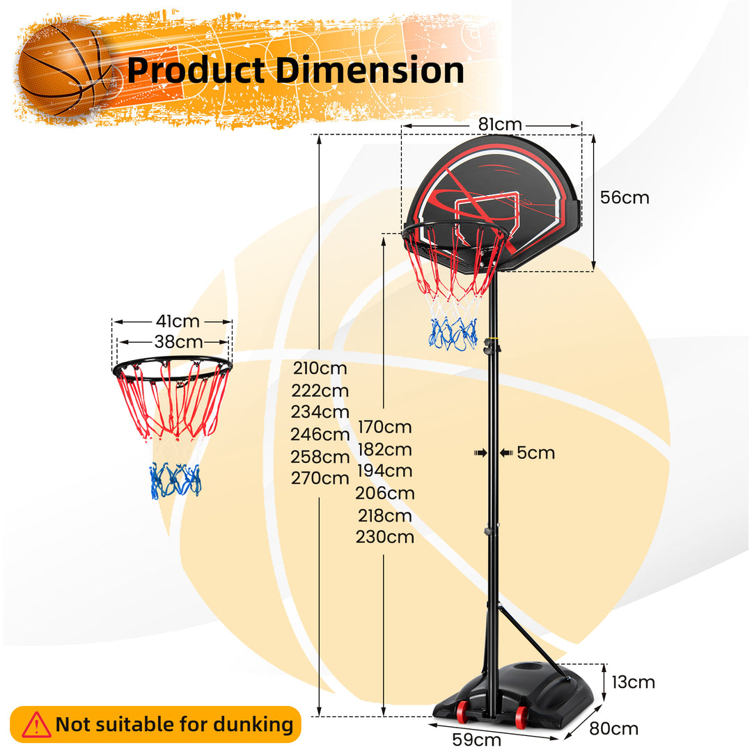 Basketball Hoop System with Adjustable Height