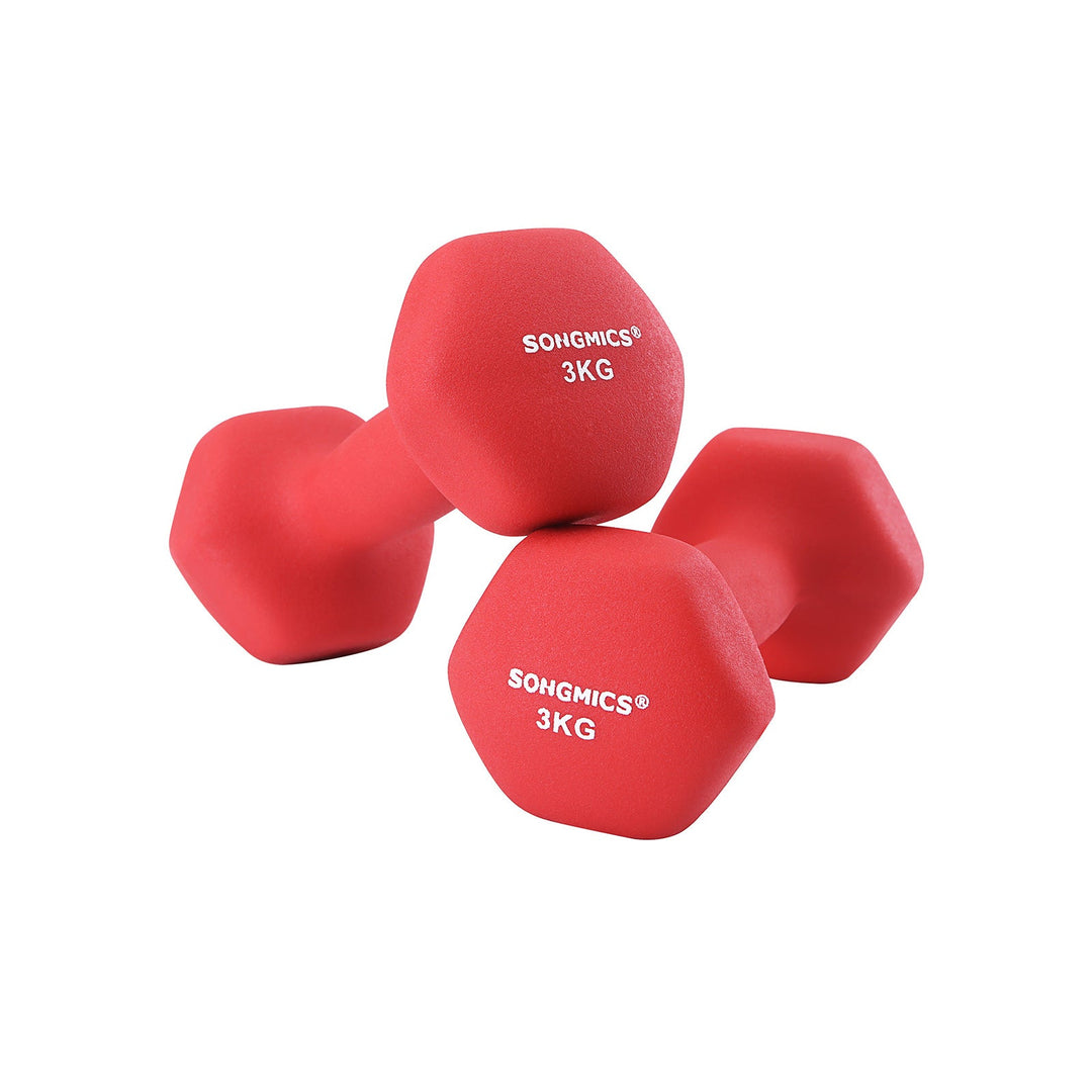 Set of 2 Dumbbells