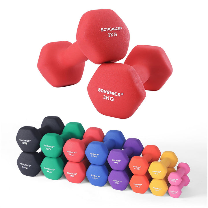 Set of 2 Dumbbells