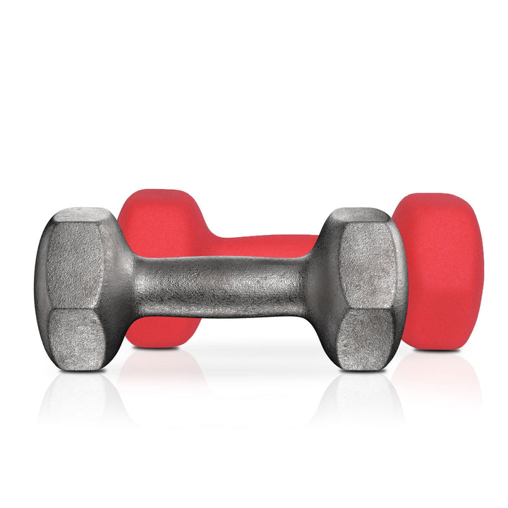 Set of 2 Dumbbells