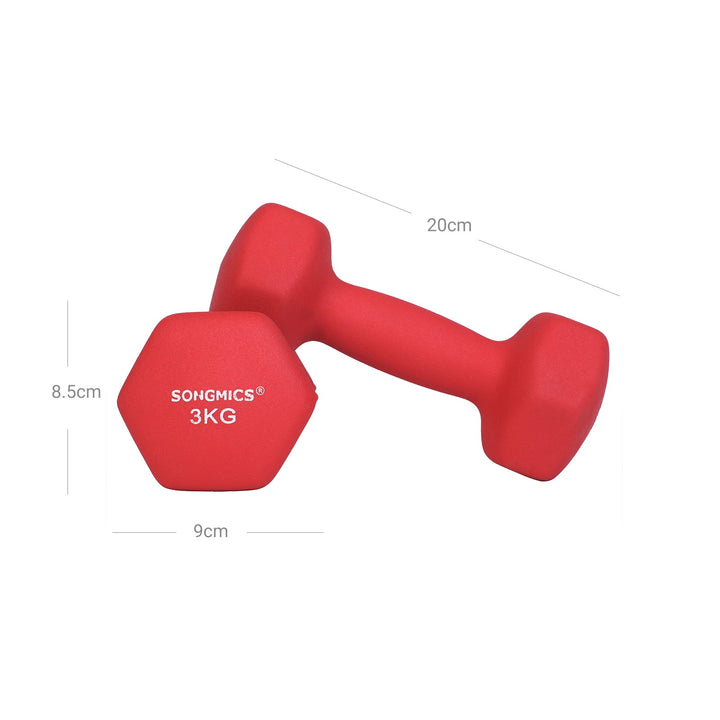 Set of 2 Dumbbells