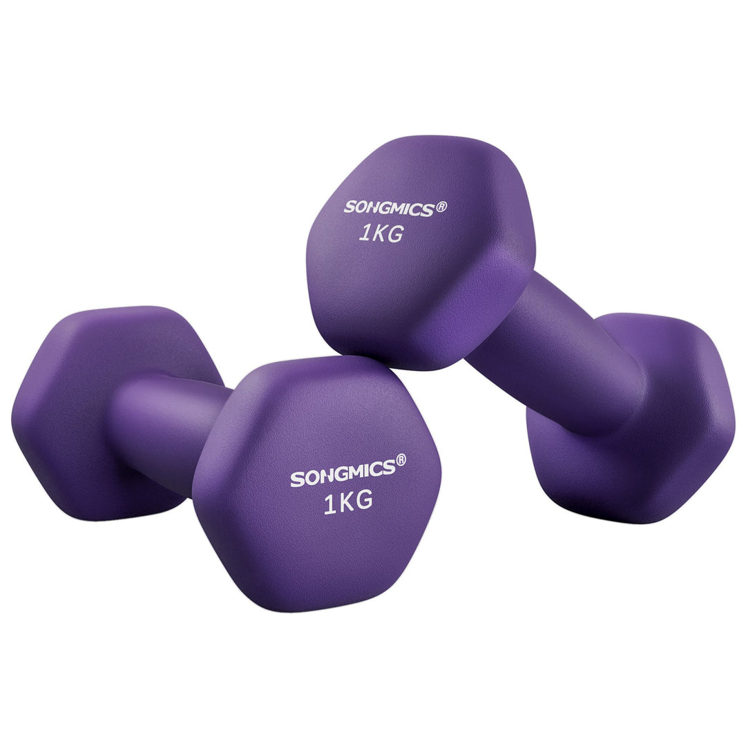 Set of 2 Dumbbells 2 x 1 kg Purple