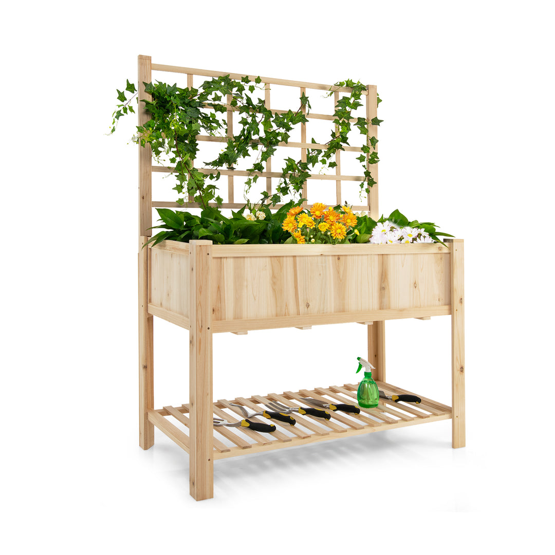 Wooden Raised Garden Bed with Trellis for Climbing Plant