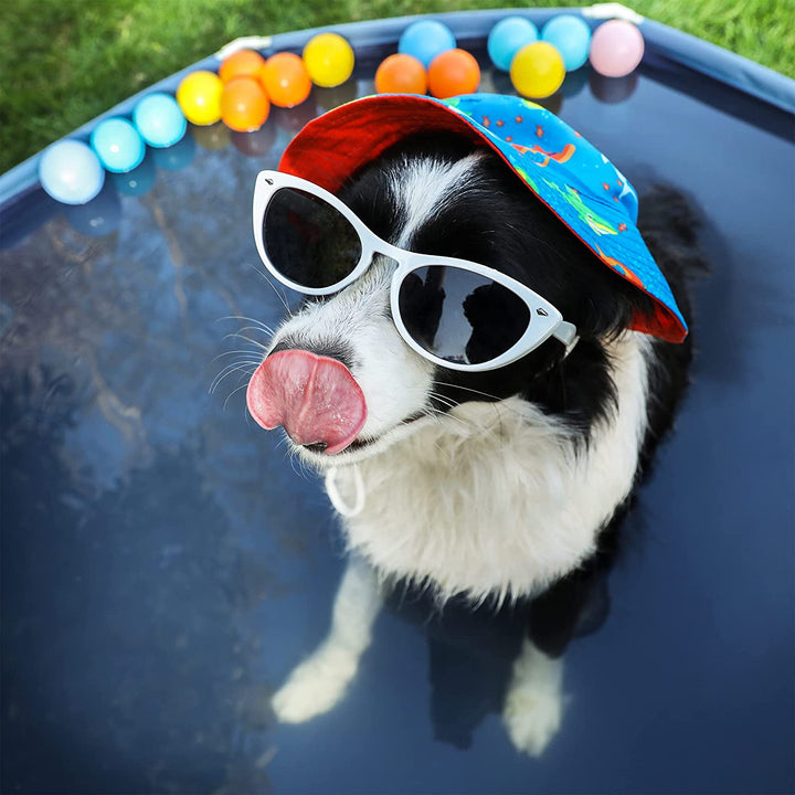 Foldable Dog Swimming Pool