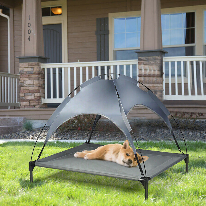 Elevated Pet Bed with Removable Canopy