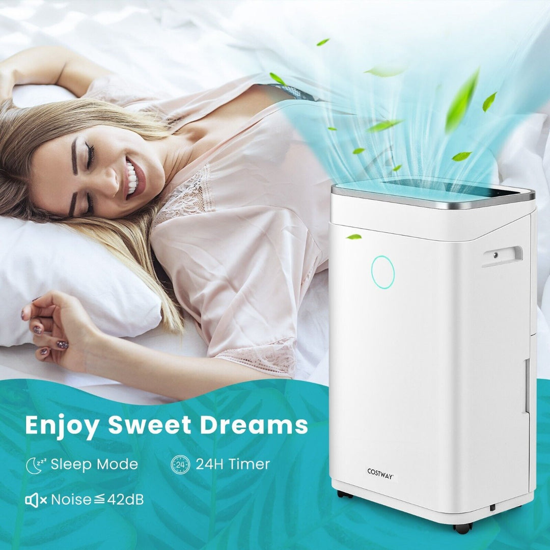 25L/Day Dehumidifier with 6.5L Water Tank and 24H Timer for Home Basement-25L