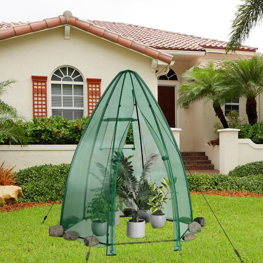 Walk in Greenhouse with Waterproof PE Cover