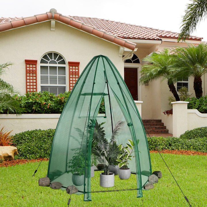 Walk in Greenhouse with Waterproof PE Cover