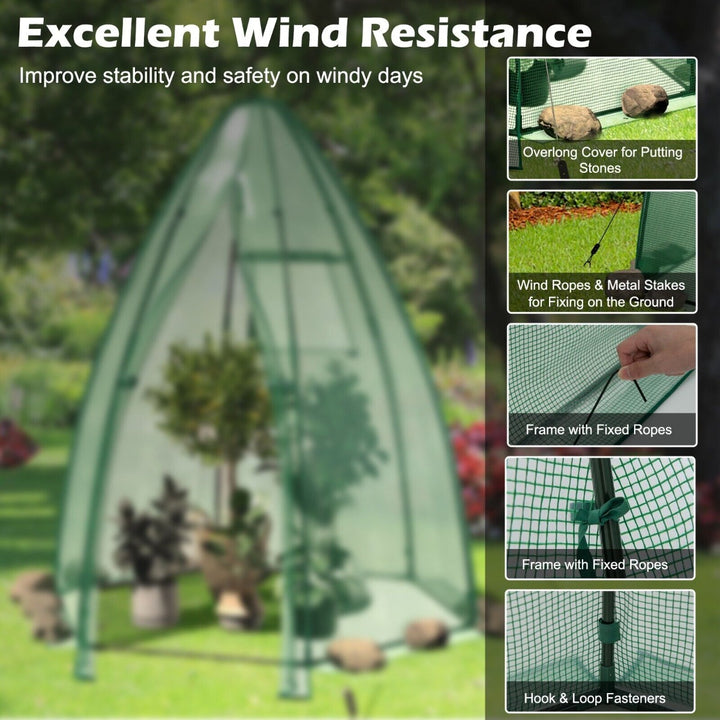 Walk in Greenhouse with Waterproof PE Cover