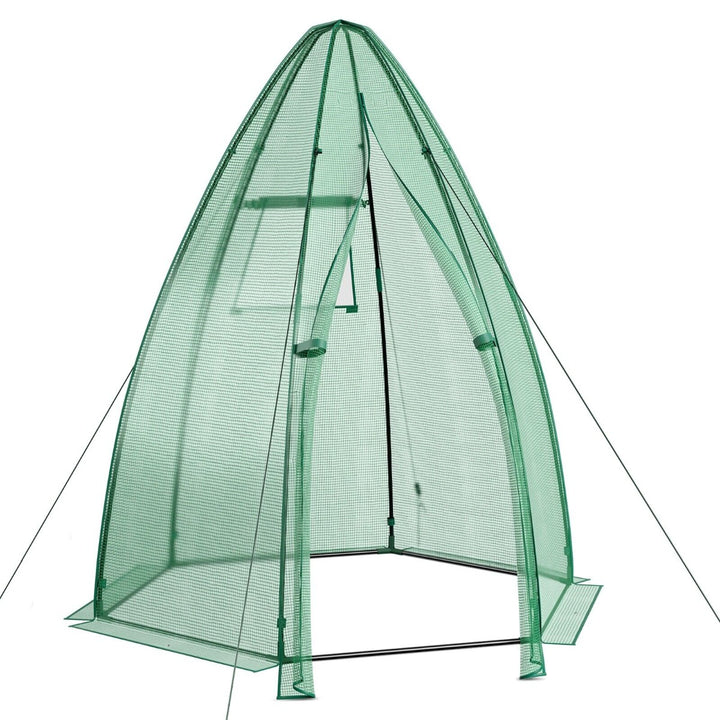 Walk in Greenhouse with Waterproof PE Cover