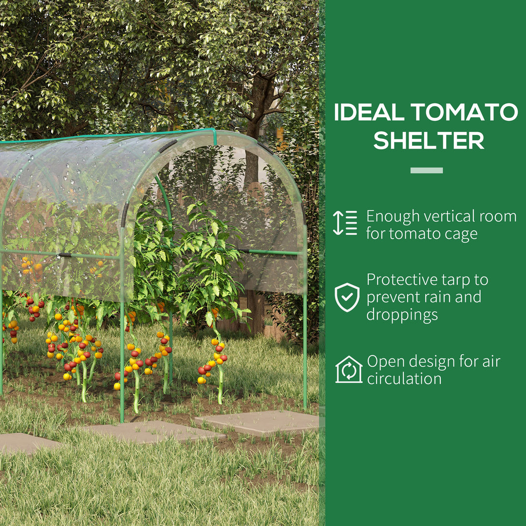 Tunnel Tomato Greenhouse with 4 Hoops and Top Tap, Pointed Bottom and Guy Ropes, Clear