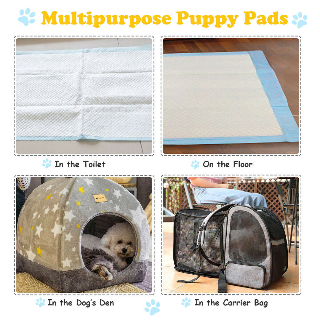 Pet Pee pads with 5-Layer Design of 4 Sizes-Size 1