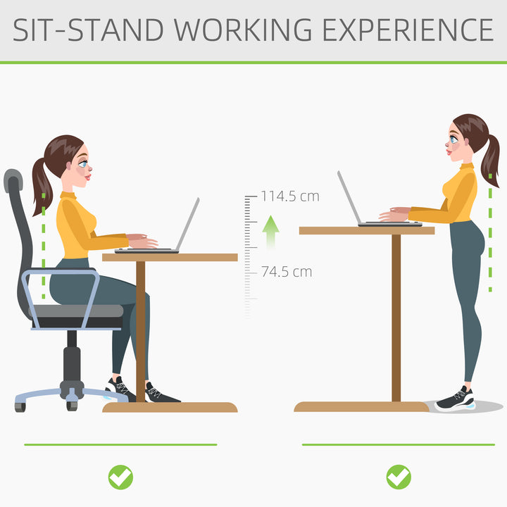 Electric Height Adjustable Standing Desk, 120 cm x 60 cm Memory Preset Stand Up Workstation for Home, Office, Black