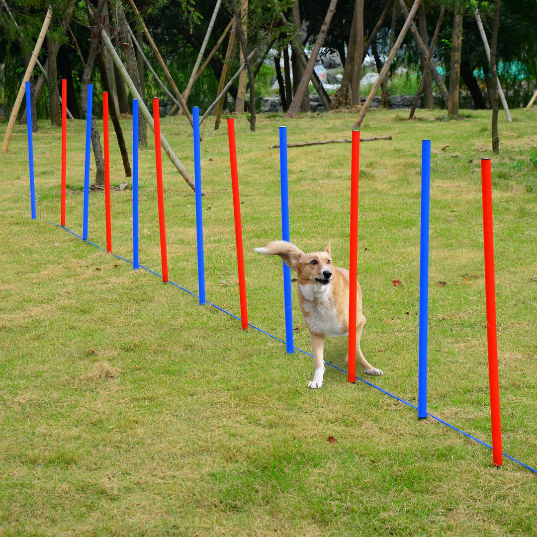 Pawhut Pet Agility Training Run/Jump Set